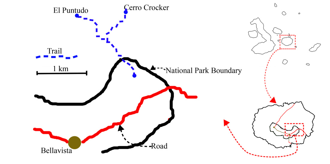 Santa Cruz Highlands Peak Tour, El Puntudo, Galapagos